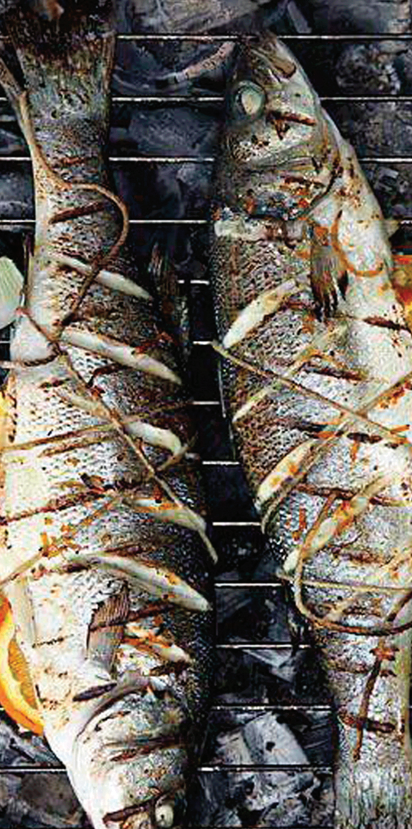 Grilled Sea Bass